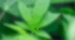 Desktop Screenshot of mercywellness.com
