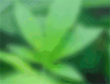 Tablet Screenshot of mercywellness.com